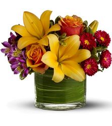 Blossoms of Joy from Westbury Floral Designs in Westbury, NY